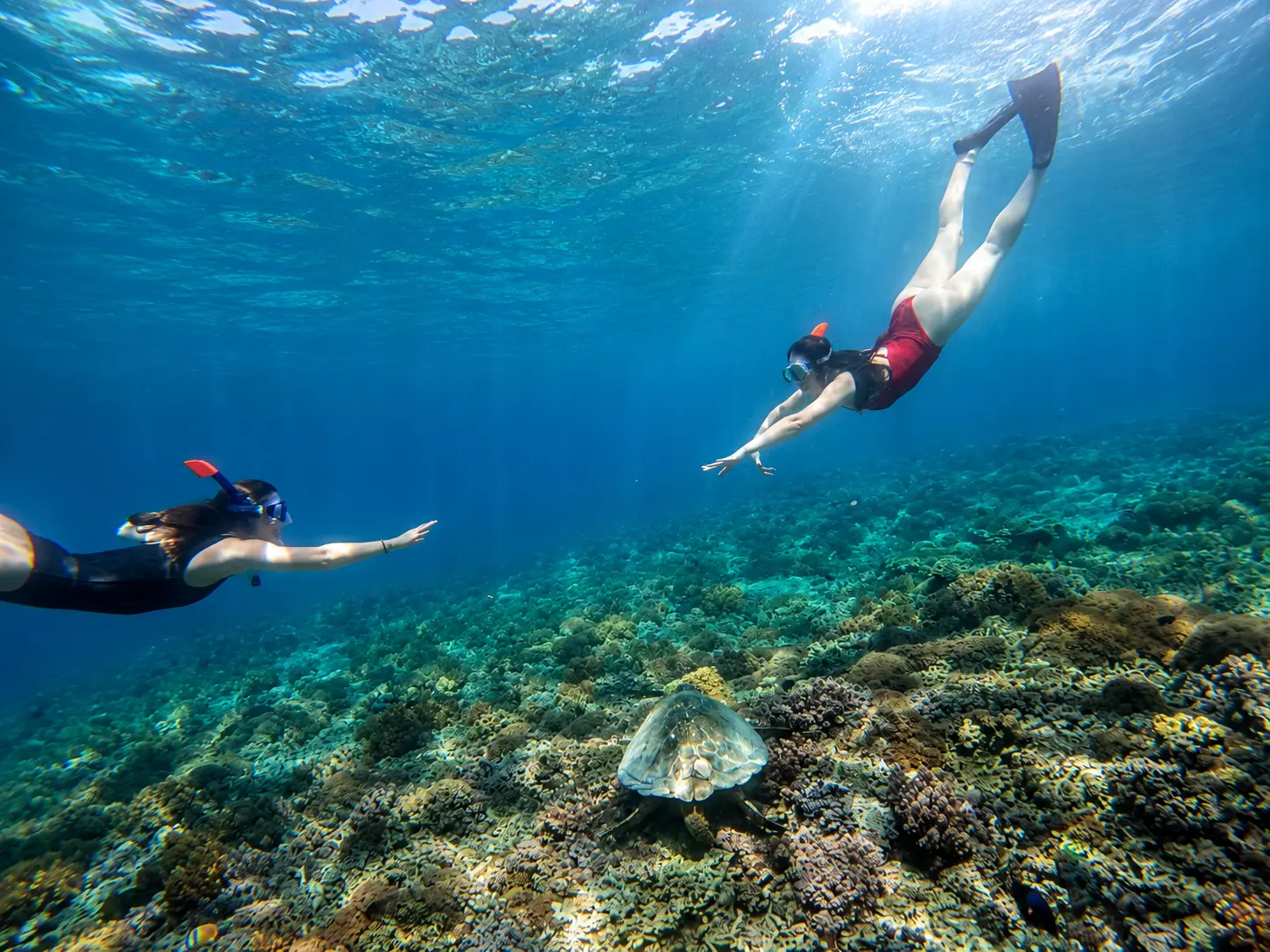 underwater statue